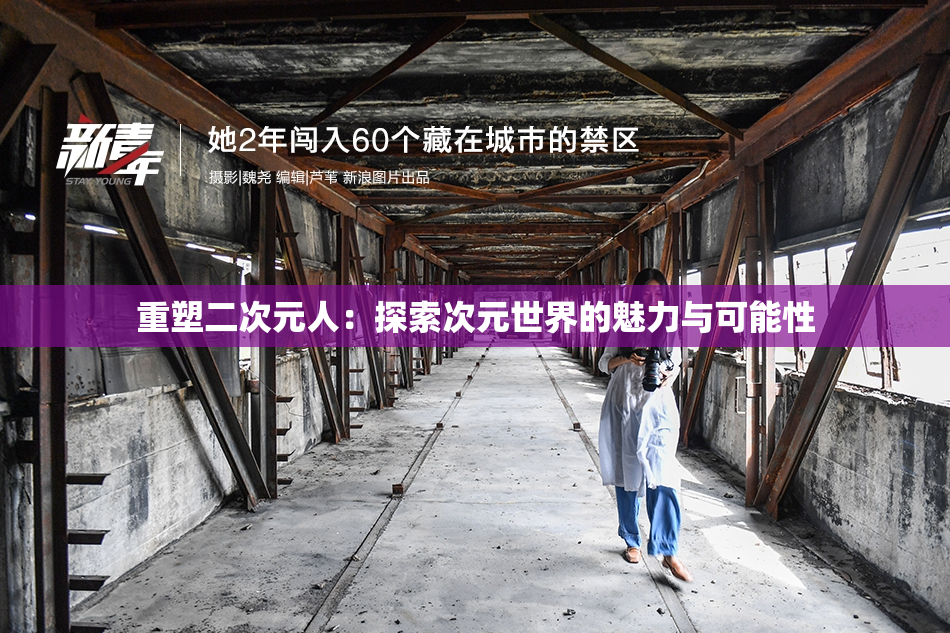 重塑二次元人：探索次元世界的魅力与可能性