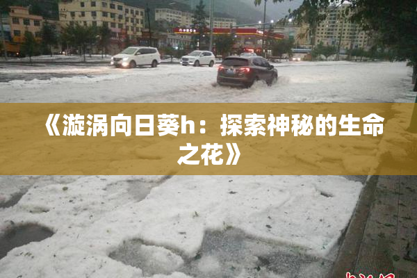 《漩涡向日葵h：探索神秘的生命之花》