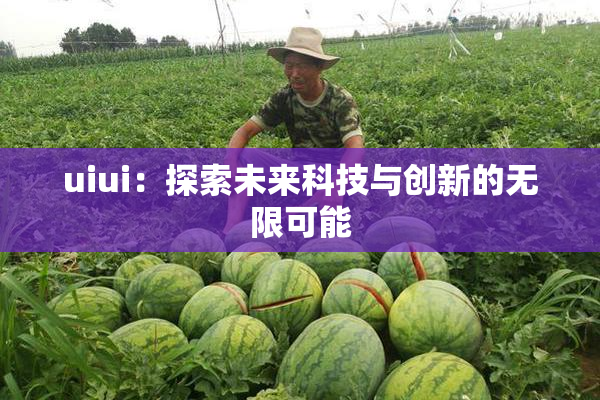 uiui：探索未来科技与创新的无限可能
