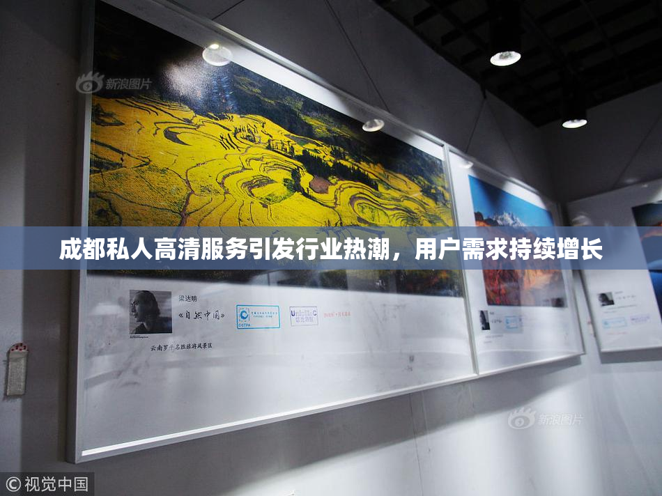 成都私人高清服务引发行业热潮，用户需求持续增长