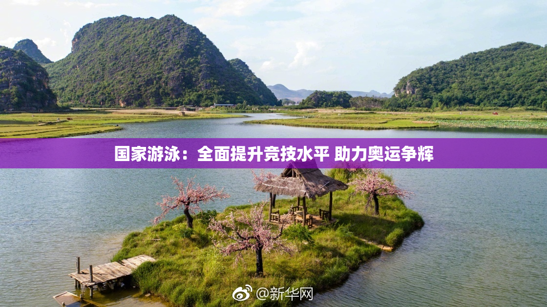 国家游泳：全面提升竞技水平 助力奥运争辉