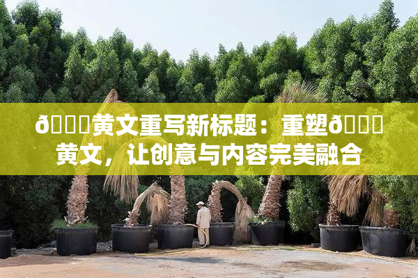 🔞黄文重写新标题：重塑🔞黄文，让创意与内容完美融合