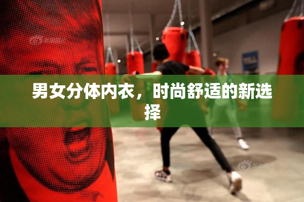 男女分体内衣，时尚舒适的新选择