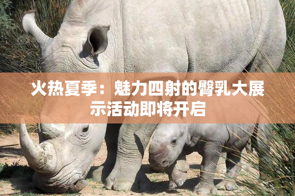 火热夏季：魅力四射的臀乳大展示活动即将开启