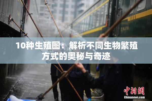10种生殖图：解析不同生物繁殖方式的奥秘与奇迹
