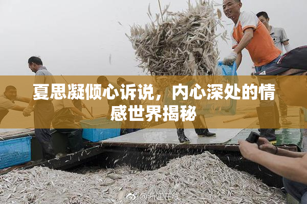 夏思凝倾心诉说，内心深处的情感世界揭秘
