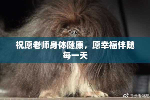 祝愿老师身体健康，愿幸福伴随每一天