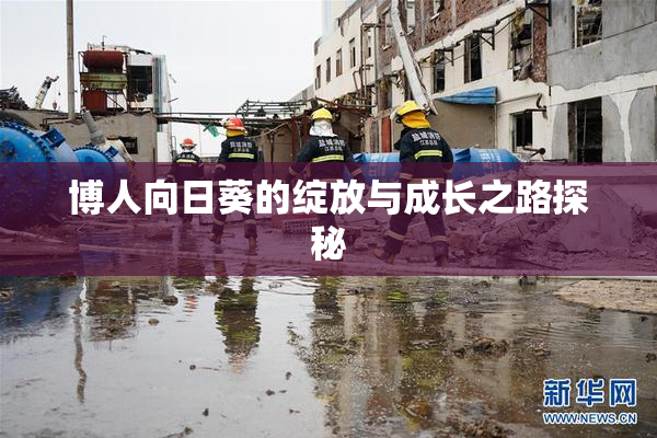博人向日葵的绽放与成长之路探秘