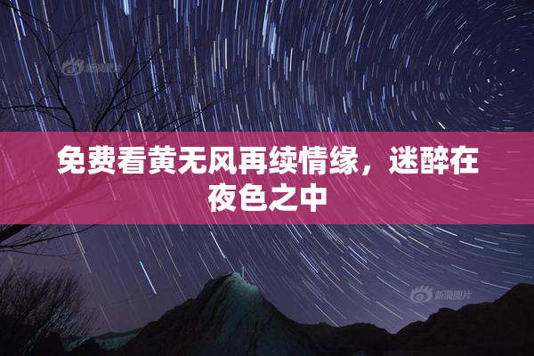 免费看黄无风再续情缘，迷醉在夜色之中