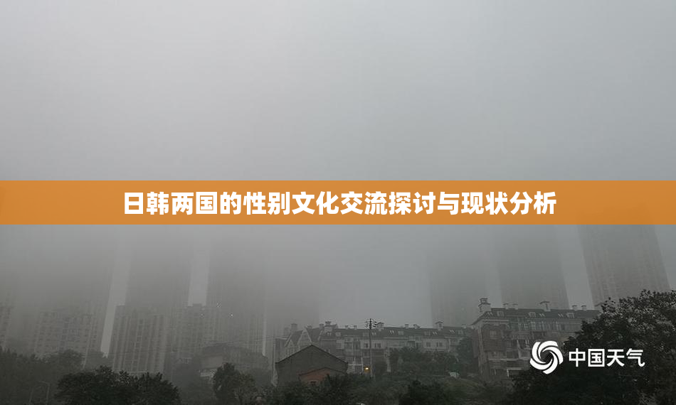 日韩两国的性别文化交流探讨与现状分析