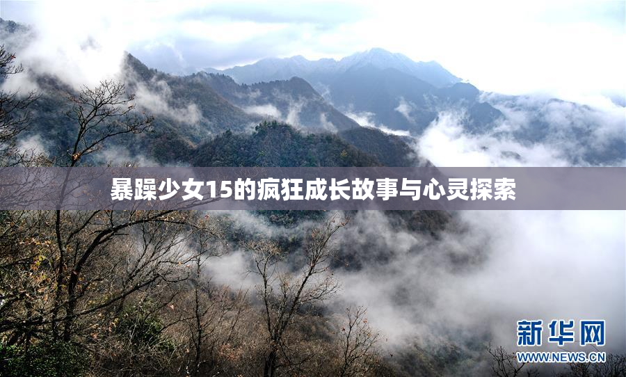 暴躁少女15的疯狂成长故事与心灵探索