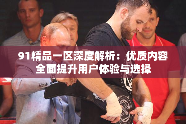 91精品一区深度解析：优质内容全面提升用户体验与选择