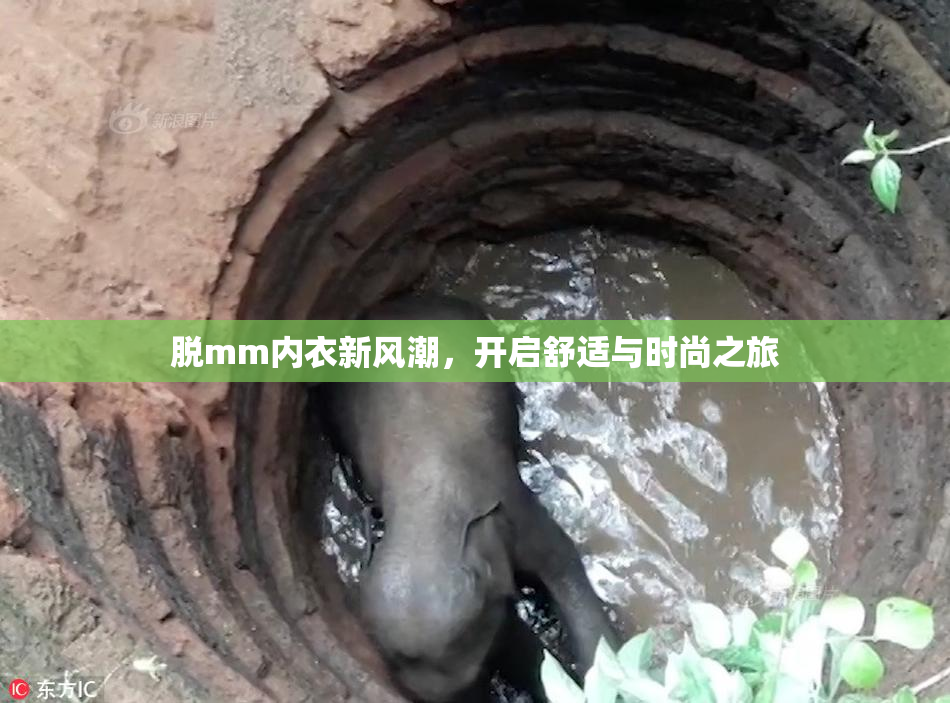 脱mm内衣新风潮，开启舒适与时尚之旅