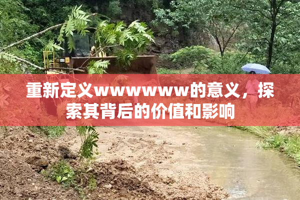 重新定义wwwwww的意义，探索其背后的价值和影响