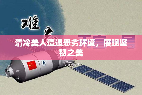 清冷美人遭遇恶劣环境，展现坚韧之美