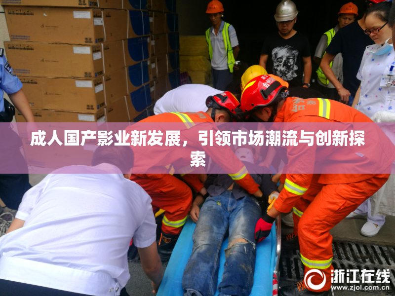 成人国产影业新发展，引领市场潮流与创新探索