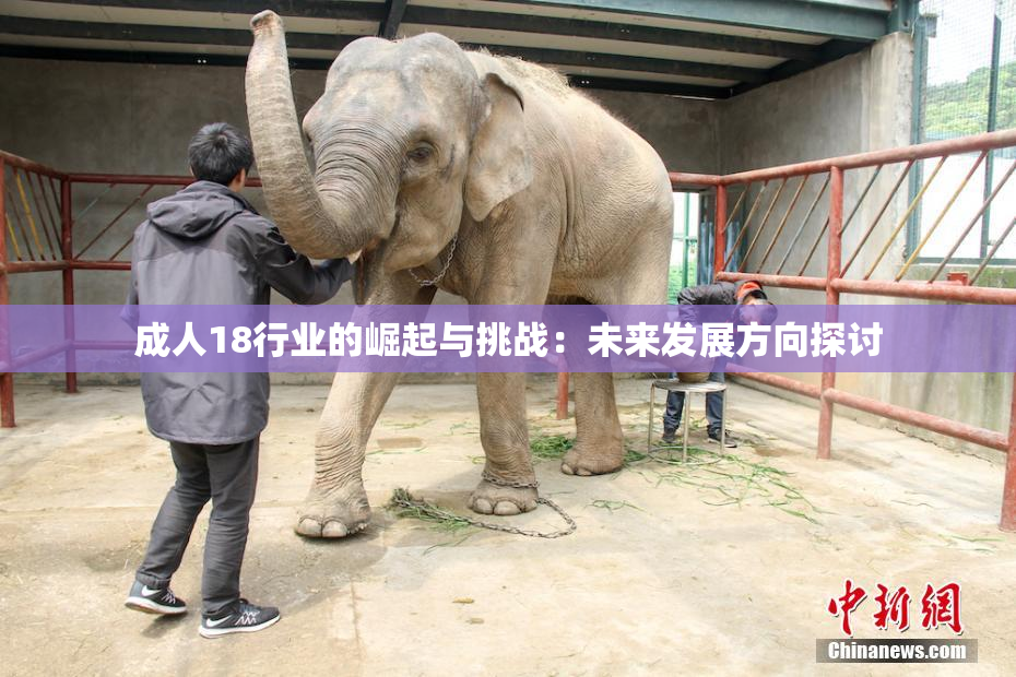 成人18行业的崛起与挑战：未来发展方向探讨