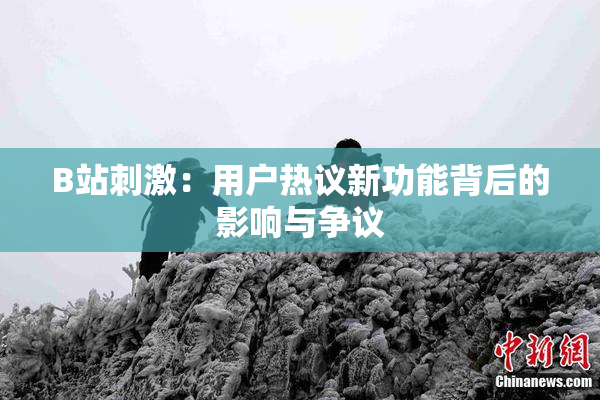 B站刺激：用户热议新功能背后的影响与争议