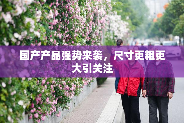 国产产品强势来袭，尺寸更粗更大引关注