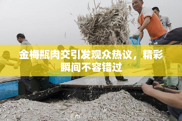 金梅瓶肉交引发观众热议，精彩瞬间不容错过