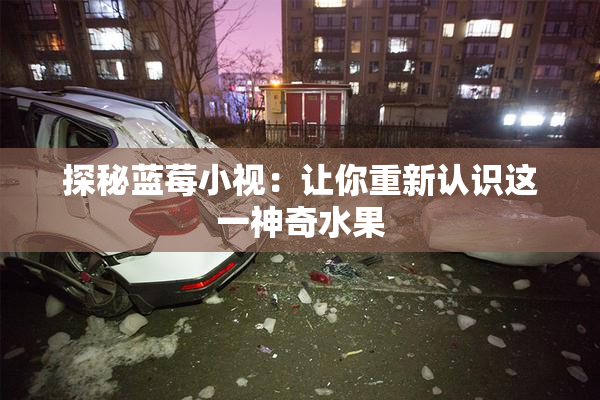 探秘蓝莓小视：让你重新认识这一神奇水果
