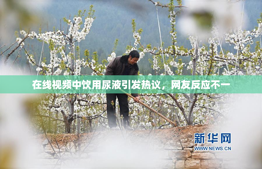 在线视频中饮用尿液引发热议，网友反应不一