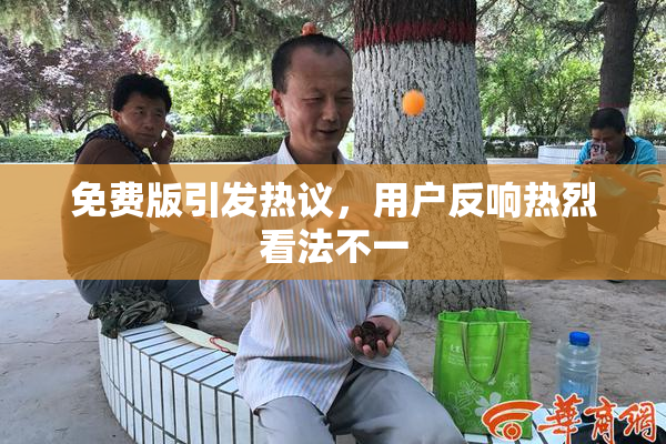 免费版引发热议，用户反响热烈看法不一
