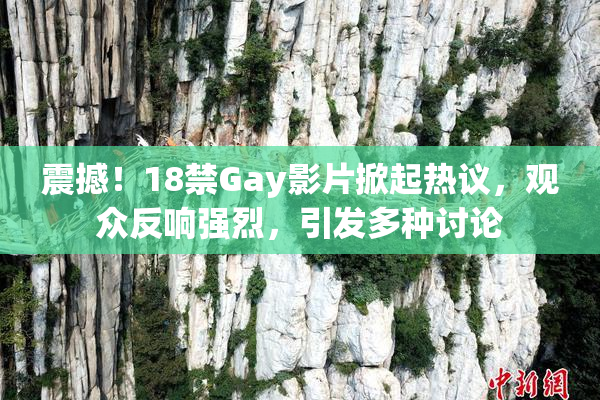 震撼！18禁Gay影片掀起热议，观众反响强烈，引发多种讨论