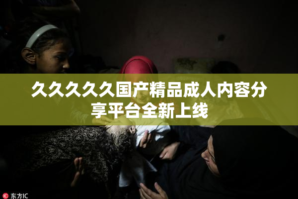 久久久久久国产精品成人内容分享平台全新上线