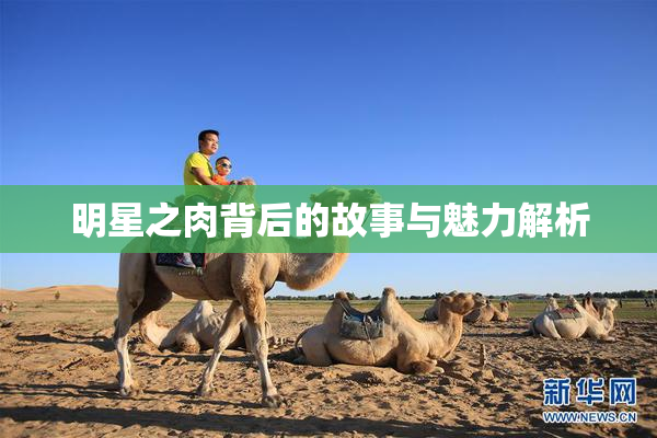 明星之肉背后的故事与魅力解析