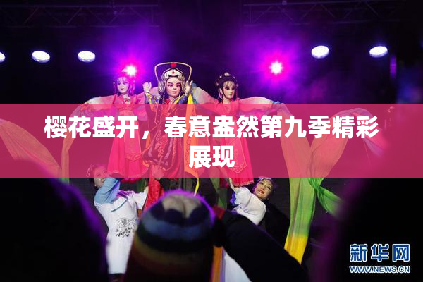 樱花盛开，春意盎然第九季精彩展现