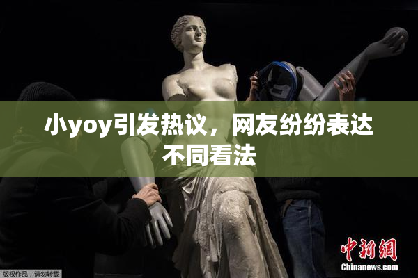 小yoy引发热议，网友纷纷表达不同看法