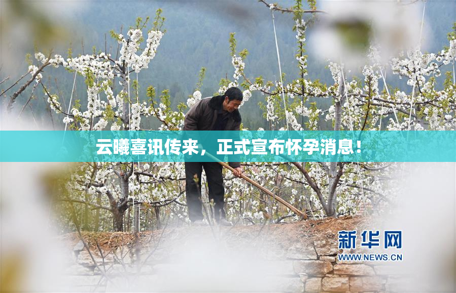云曦喜讯传来，正式宣布怀孕消息！