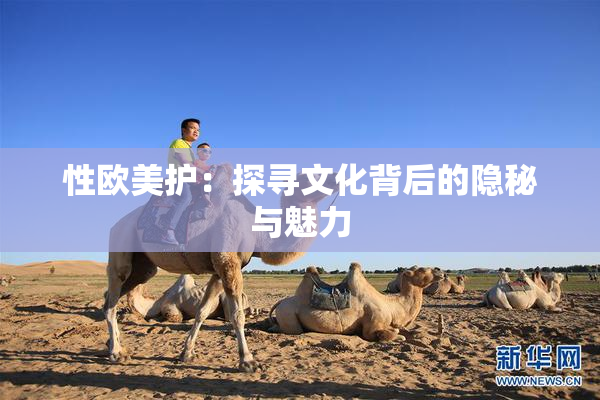 性欧美护：探寻文化背后的隐秘与魅力