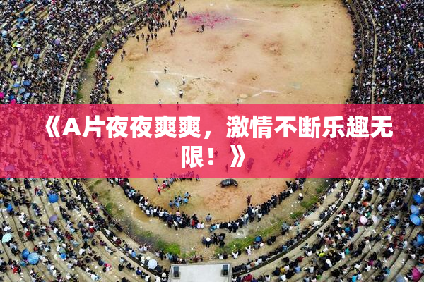 《A片夜夜爽爽，激情不断乐趣无限！》