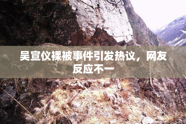 吴宣仪裸被事件引发热议，网友反应不一