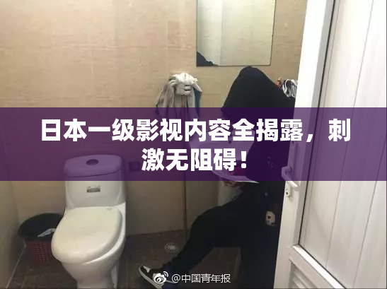 日本一级影视内容全揭露，刺激无阻碍！