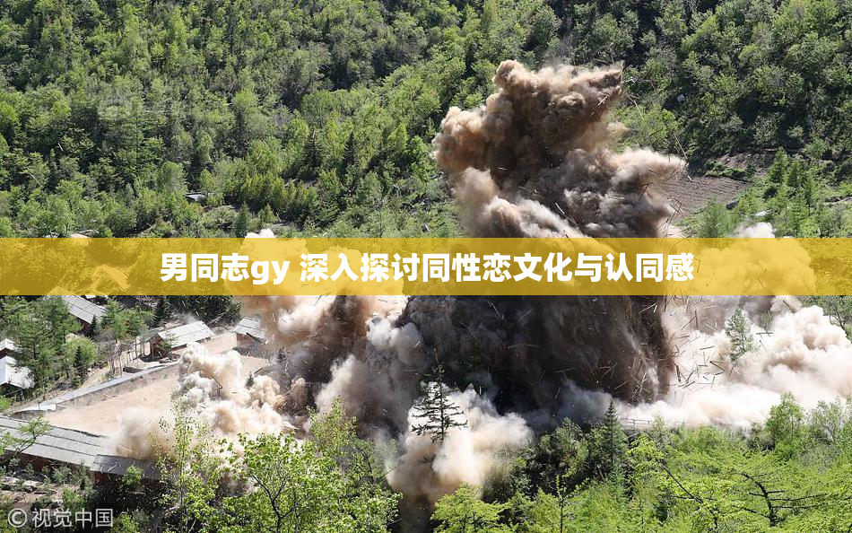 男同志gy 深入探讨同性恋文化与认同感