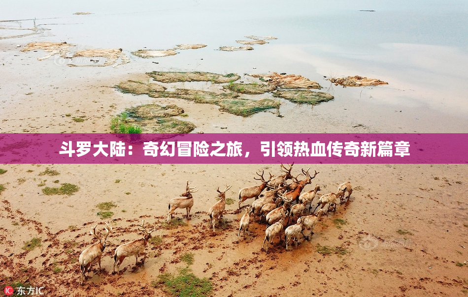 斗罗大陆：奇幻冒险之旅，引领热血传奇新篇章