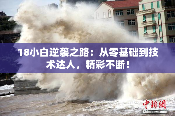 18小白逆袭之路：从零基础到技术达人，精彩不断！