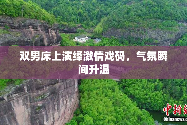 双男床上演绎激情戏码，气氛瞬间升温