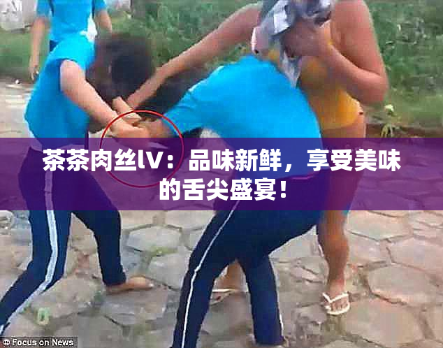 茶茶肉丝lV：品味新鲜，享受美味的舌尖盛宴！