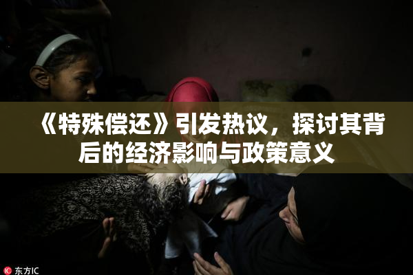 《特殊偿还》引发热议，探讨其背后的经济影响与政策意义