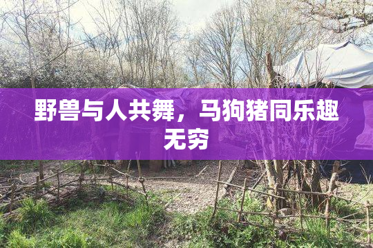 野兽与人共舞，马狗猪同乐趣无穷