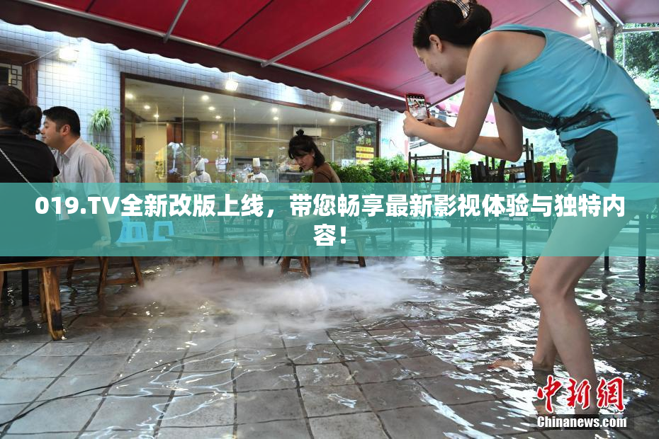 019.TV全新改版上线，带您畅享最新影视体验与独特内容！