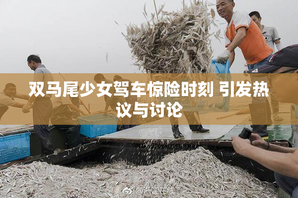 双马尾少女驾车惊险时刻 引发热议与讨论