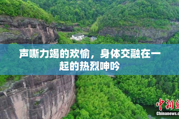 声嘶力竭的欢愉，身体交融在一起的热烈呻吟