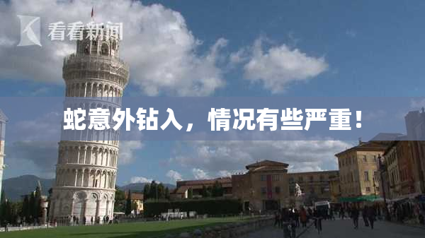 蛇意外钻入，情况有些严重！