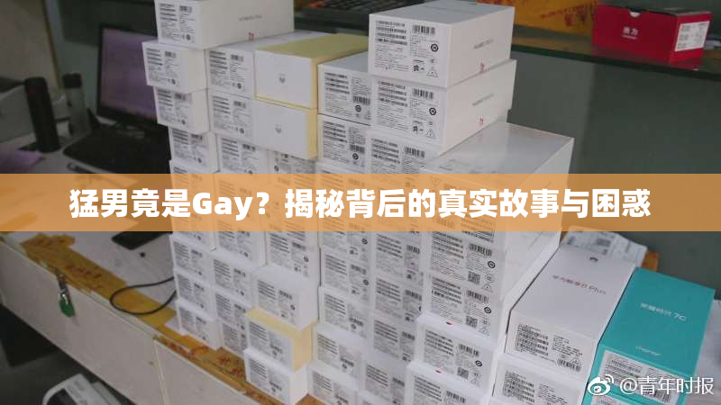 猛男竟是Gay？揭秘背后的真实故事与困惑