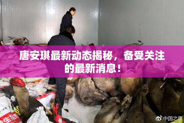 唐安琪最新动态揭秘，备受关注的最新消息！